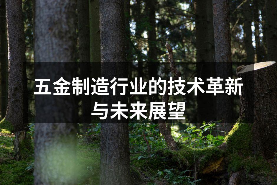 五金制造行业的技术革新与未来展望